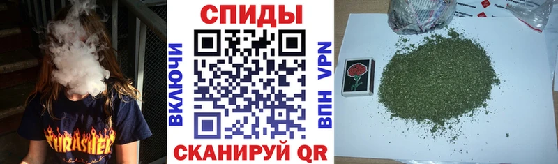 как найти   Грайворон  БУТИРАТ буратино 