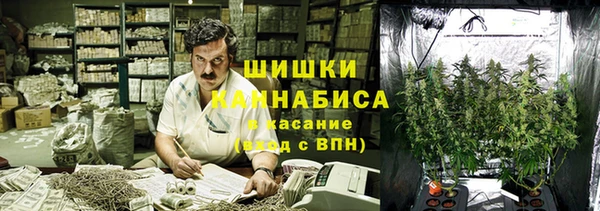 ГАЛЛЮЦИНОГЕННЫЕ ГРИБЫ Баксан