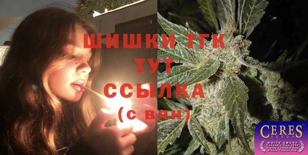 ГАЛЛЮЦИНОГЕННЫЕ ГРИБЫ Баксан