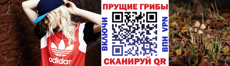 Галлюциногенные грибы мухоморы  купить наркотики цена  Грайворон 